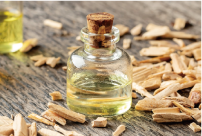 アーバンセダーウッド